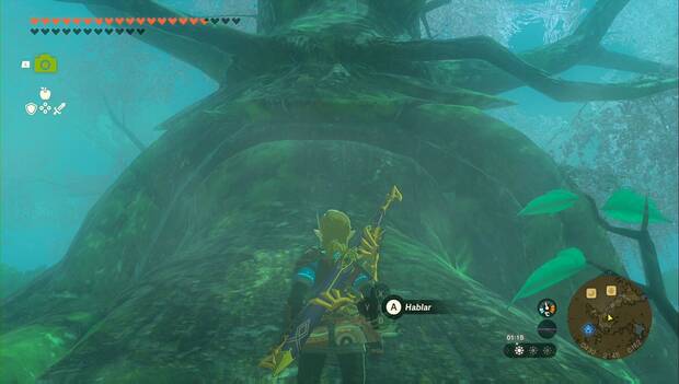 The Legend of Zelda: Tears of the Kingdom - La espada perdida: punto desde el que hablar con el Gran árbol Deku