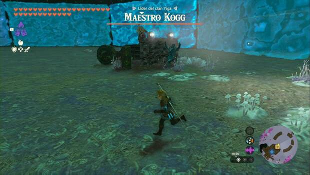 The Legend of Zelda: Tears of the Kingdom - El Maestro Kogg: Maestro Kogg