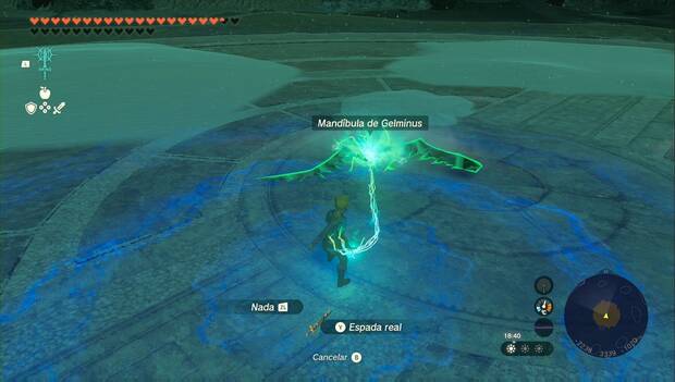 The Legend of Zelda: Tears of the Kingdom - Hoja de Gelminus: Hoja de Gelminus