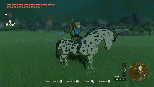 The Legend of Zelda: Tears of the Kingdom - ¿Dónde estará mi caballo?, Motas