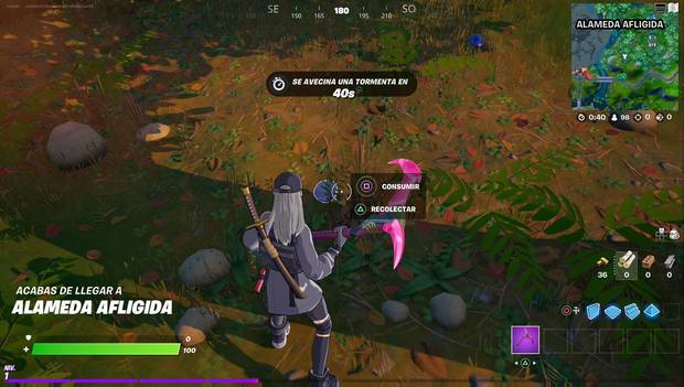 Fortnite Battle Royale - Misiones de Robellón: setas en Alameda Afligida