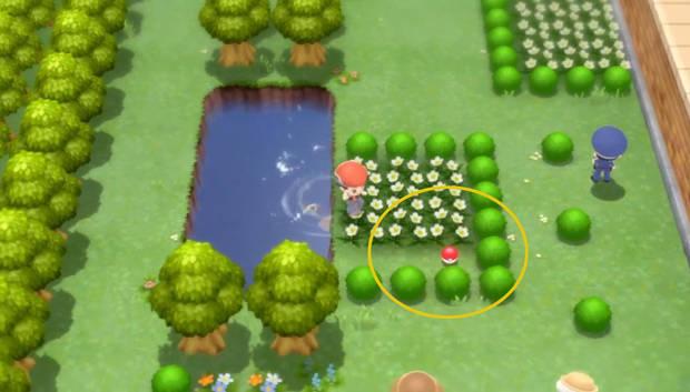 Pokémon Diamante Brillante y Pokémon Perla Reluciente - Dónde conseguir el Incienso floral