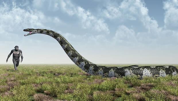 Titanoboa