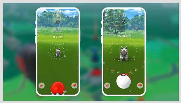 Pokmon GO: Animaciones especiales de encuentros Pokmon por diferentes tamaos