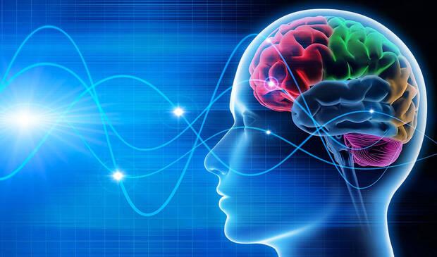 Cerebro y sus ondas