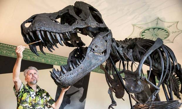 Tiranosaurio Rex