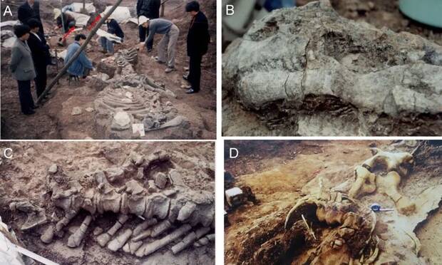 Imagenes del yacimiento compartidas por el Global Times
