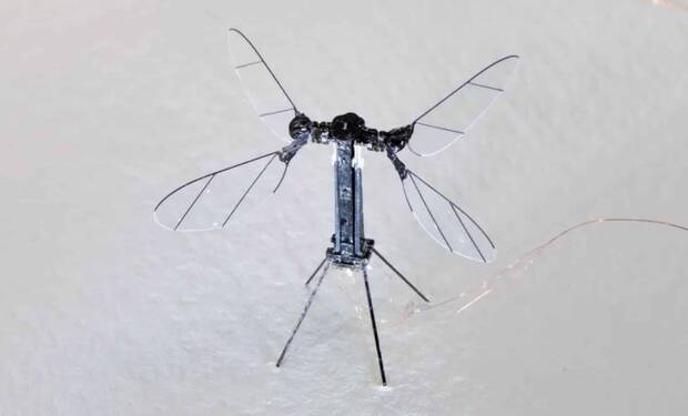 Dron mosquito