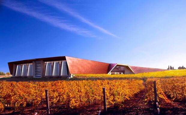 Burgos y sus viedos: bodega de Portia