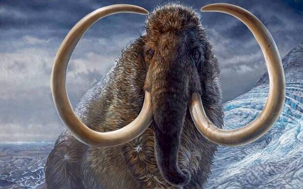 Mamut