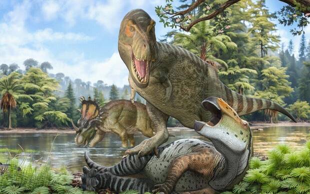 Tyrannosaurus rex