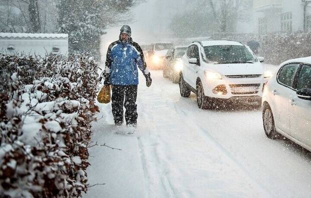 Nevada de la Bestia del Este