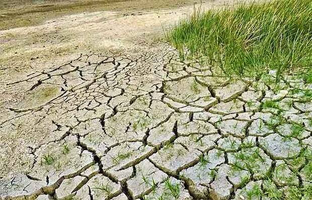 Espa�a y la desertificaci�n