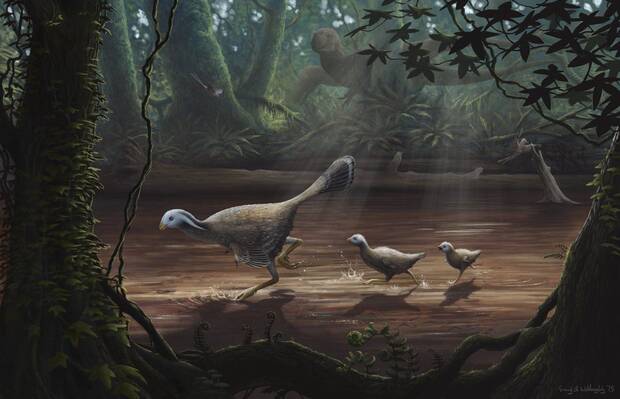Dinosaurios en China ADN