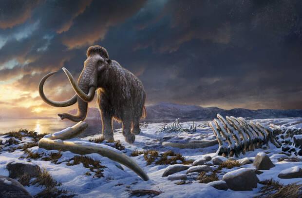 Mamut de Colossal Biosciences
