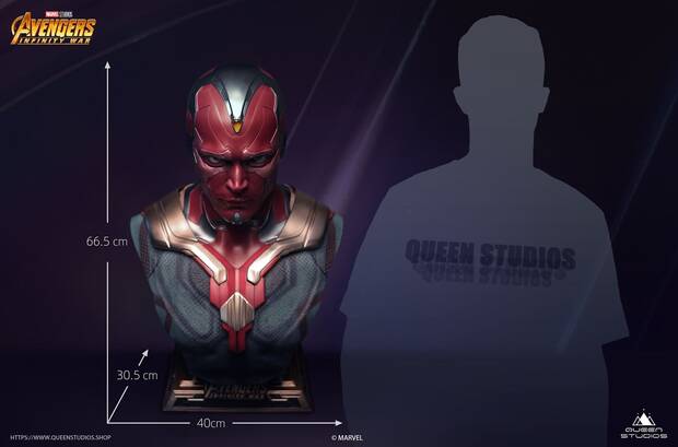 Vision Busto