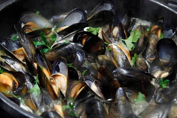 Galicia y los mejillones