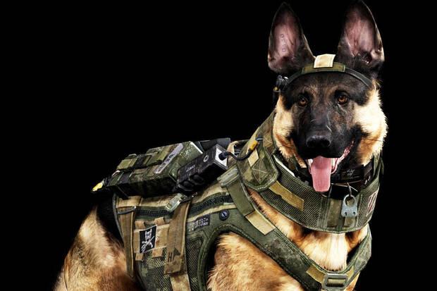 Un servicio de recogida de cacas de perros mantiene en jaque a Activision Imagen 2