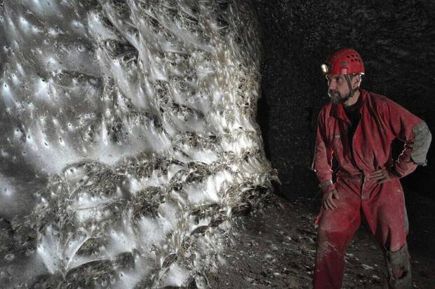 Ara�as y su megaciudad oculta