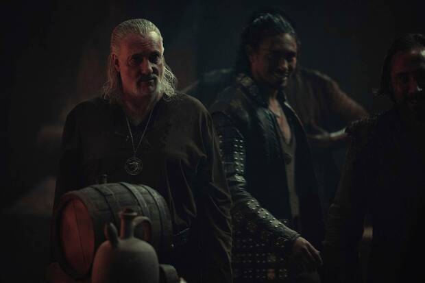 Vasemir The Witcher