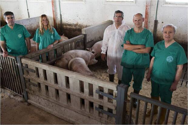 Quimeras Mono Hombre Ciencia