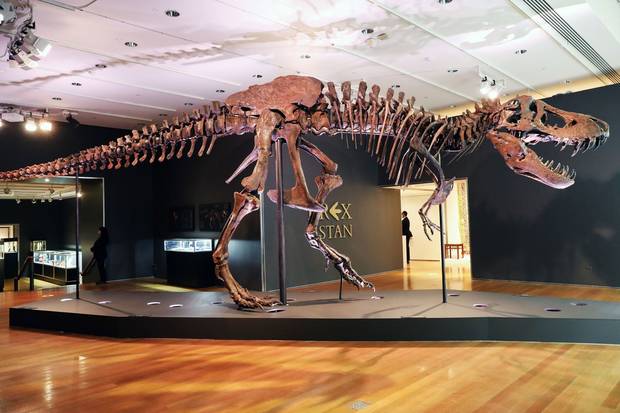 T. rex esqueleto