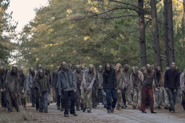 Zombies The Walking Dead