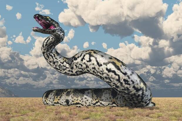 Titanoboa