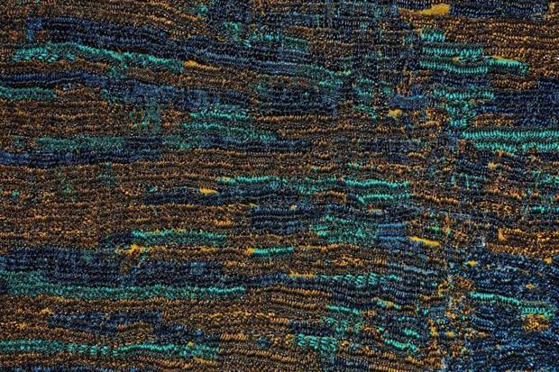 Ofo Mobike Bicis Chinas