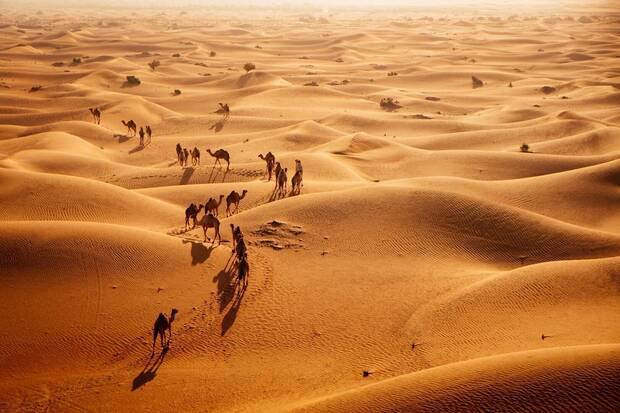 Desierto de Arabia Saud�