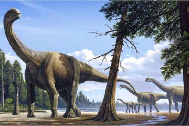 Dinosaurio encontrado en Espaa: Aragosaurus ischiaticus