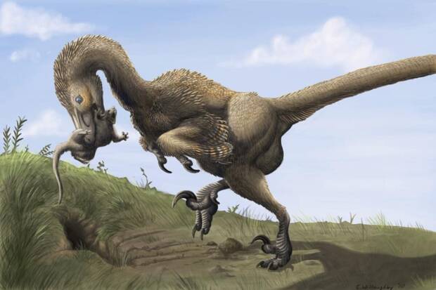 Dinosaurio encontrado en Espaa: Dromaeosauridae