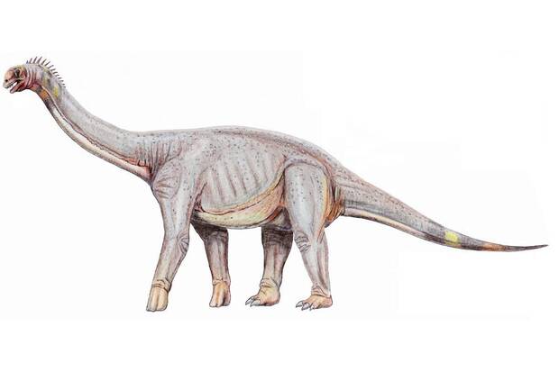 Dinosaurio encontrado en Espaa: Astrodon johnstoni
