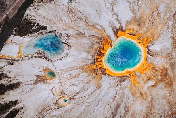 Yellowstone Hongo