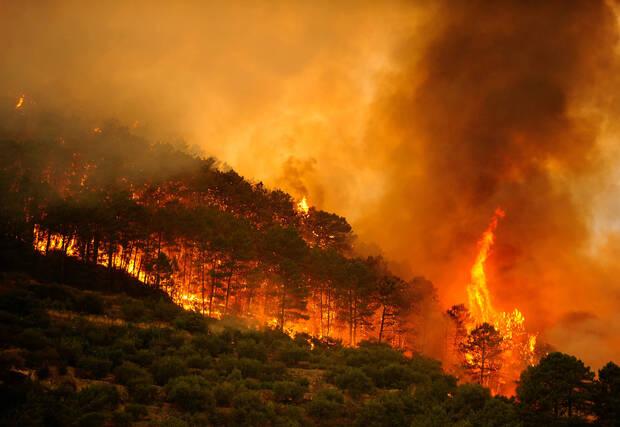 Incendios en Espa�a