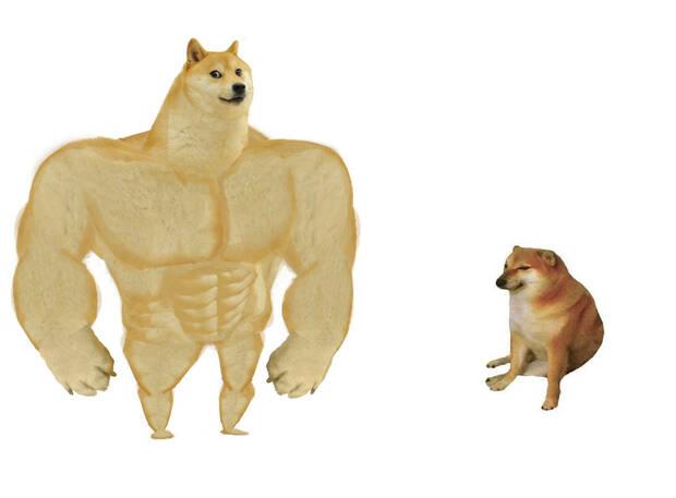 Meme Dog