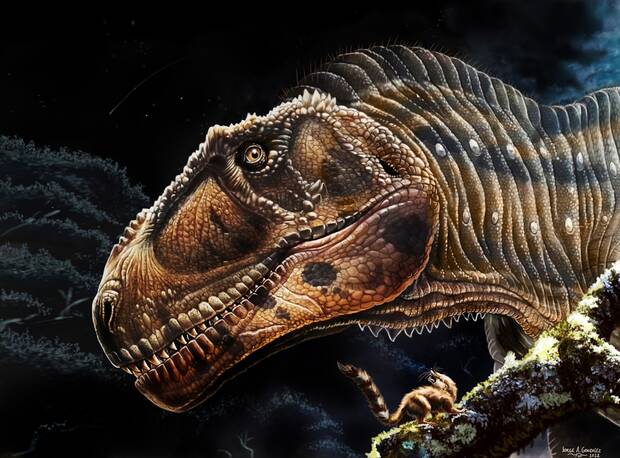 Meraxes Gigas