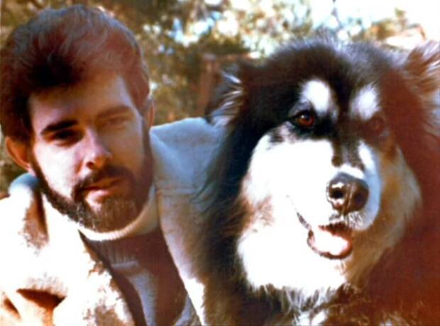 Star Wars - George Lucas y su perro husky Indiana, la inspiraci�n para crear a Chewbacca