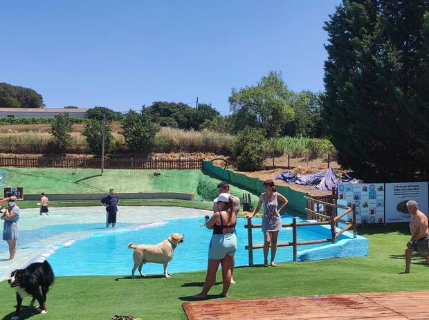 Parque acuático para perros: Perros al Agua (Barcelona)