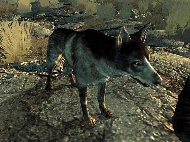 Bethesda recuerda los perros de la saga Fallout Imagen 2