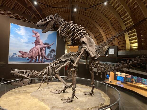Sexo Dinosaurios