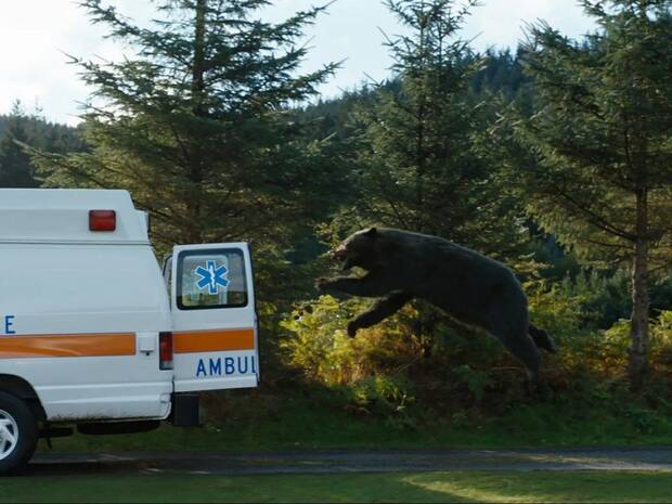 Oso Vicioso Ambulancia