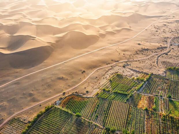 Desierto en China