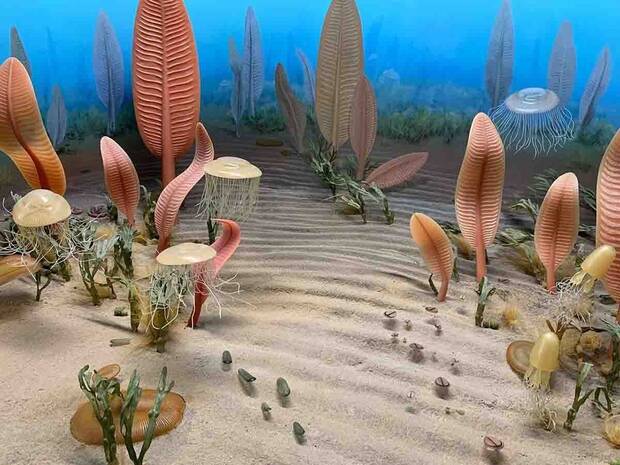 Extinci�n del Edi�carico