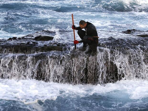 Percebeiros en busca de percebes entre las rocas