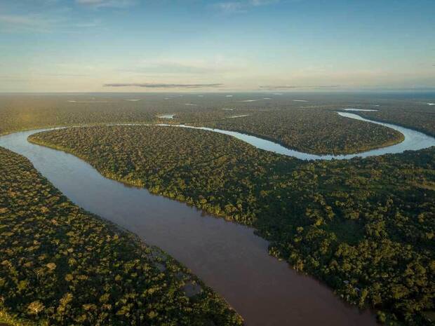 Amazonas