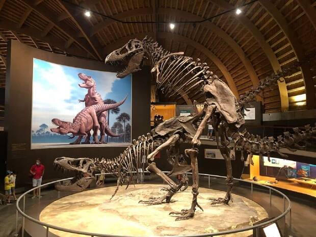 Composicin de dinosaurios aparendose en el MUJA