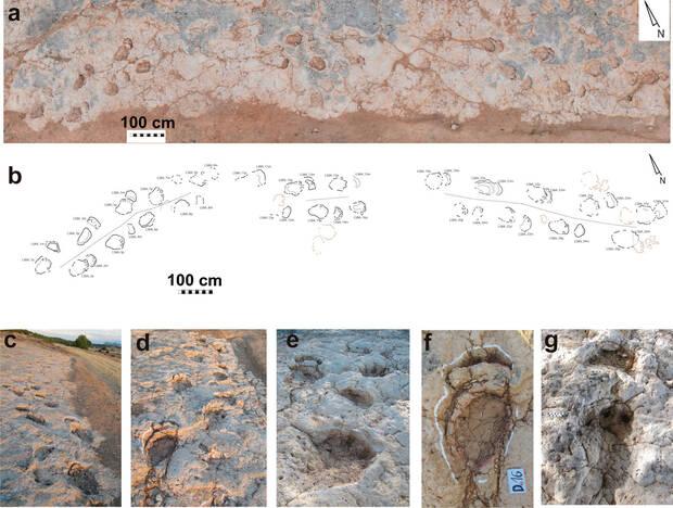 Dinosaurio Huellas