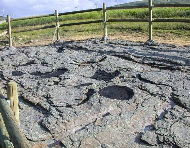 Zona de la ruta de las icnitas