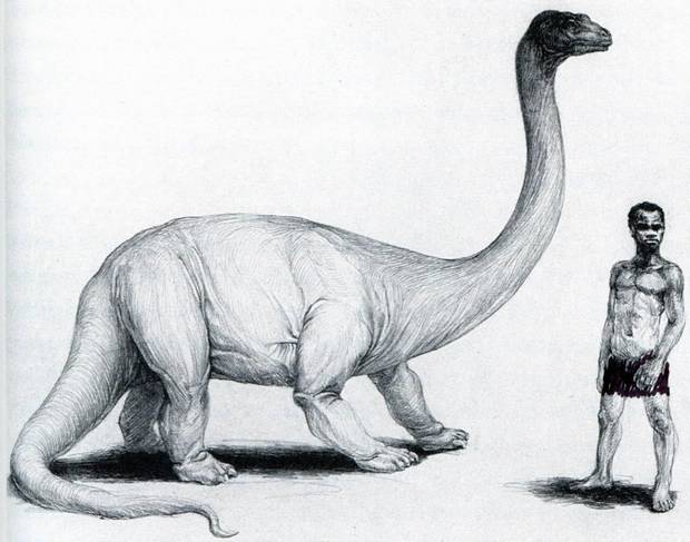 Dibujo del Mokèle-Mbèmbé